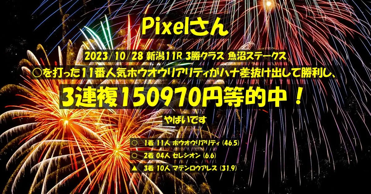 Pixelさん2023/10/28&nbsp;新潟11R的中 5596%回収