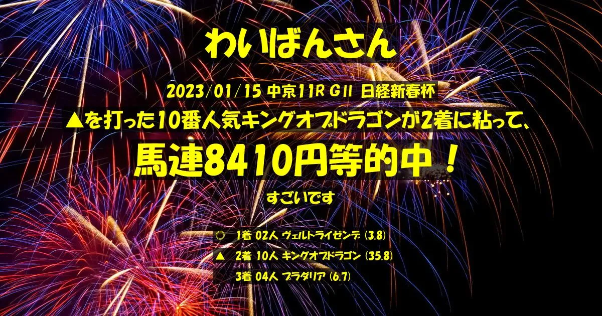 わいばんさん2023/01/15&nbsp;中京11R的中 1409%回収