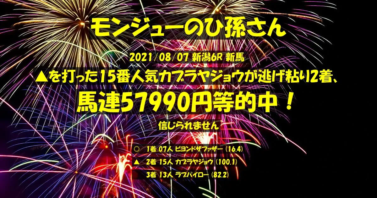 モンジューのひ孫さん2021/08/07&nbsp;新潟06R的中 13494%回収