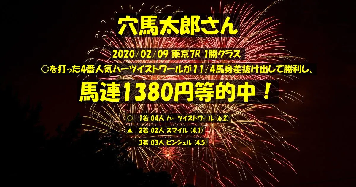 穴馬太郎さん2020/02/09&nbsp;東京07R的中 415%回収