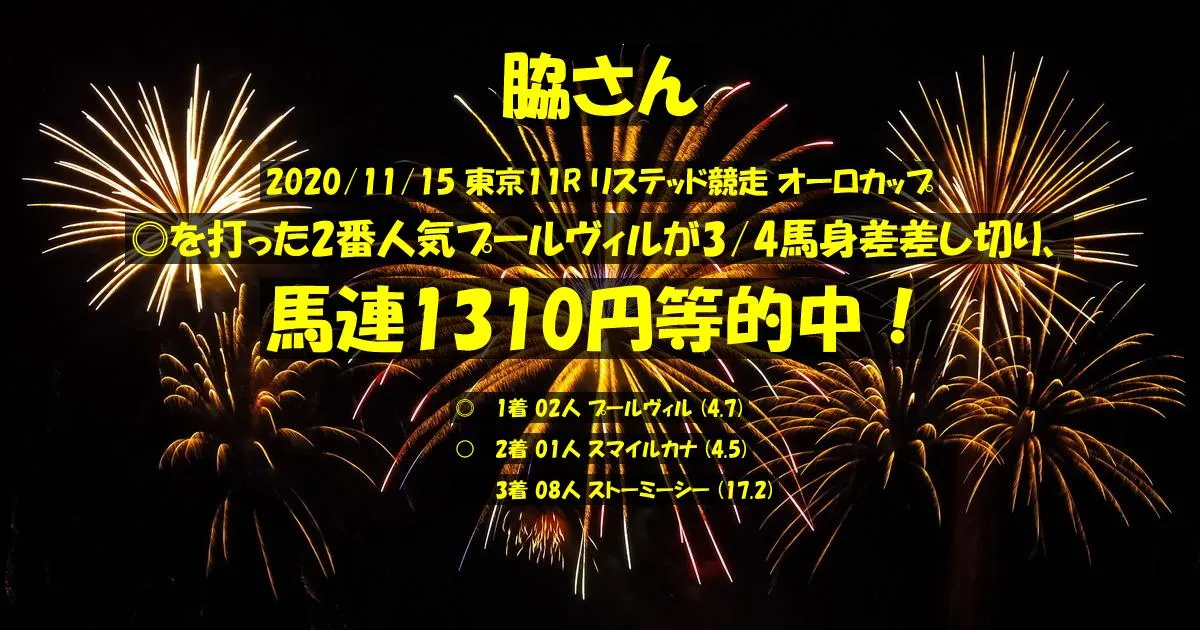 脇さん2020/11/15&nbsp;東京11R的中 356%回収