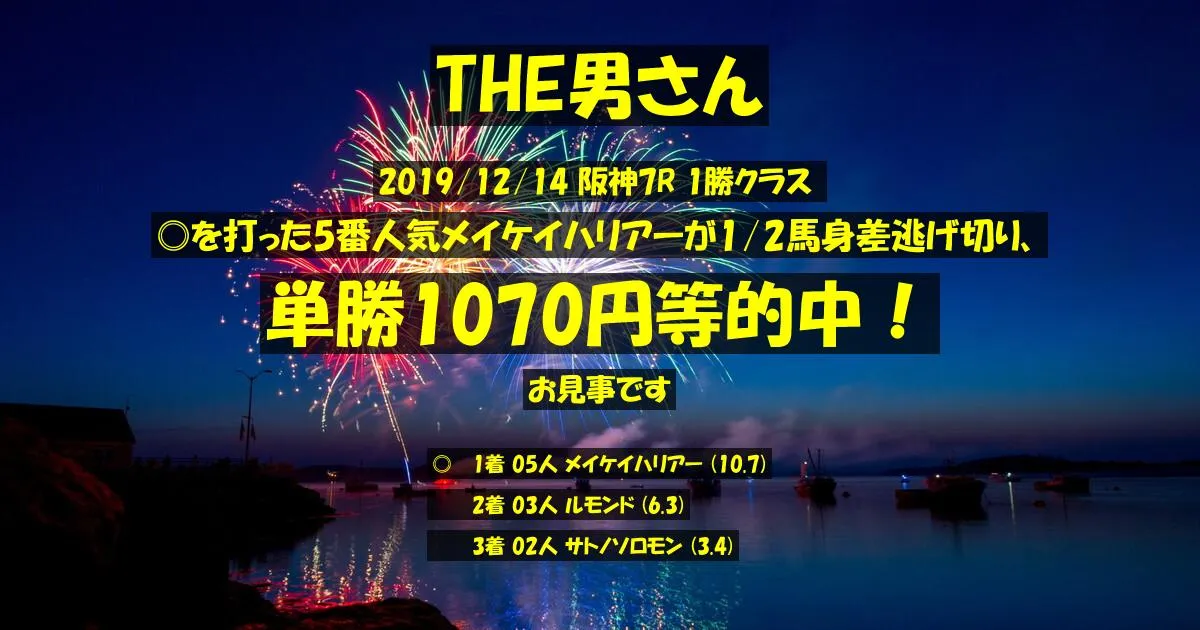 THE男さん2019/12/14&nbsp;阪神07R的中 660%回収