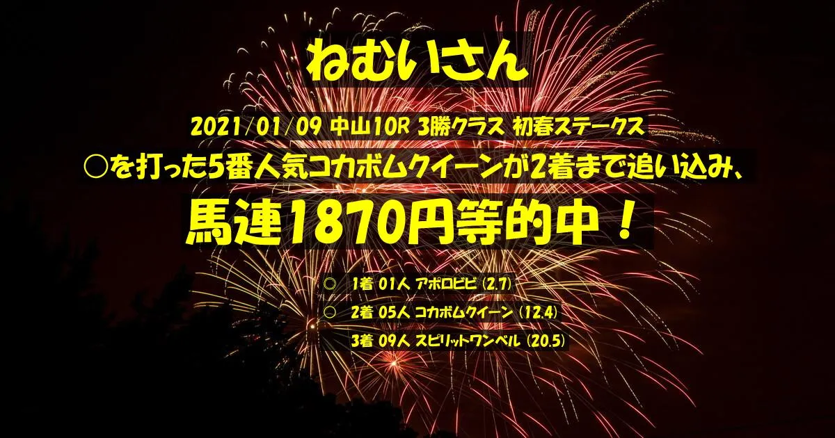 ねむいさん2021/01/09&nbsp;中山10R的中 426%回収
