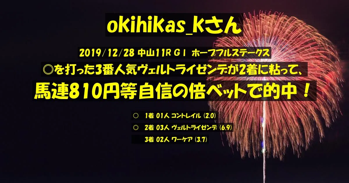 okihikas_kさん2019/12/28&nbsp;中山11R的中 317%回収