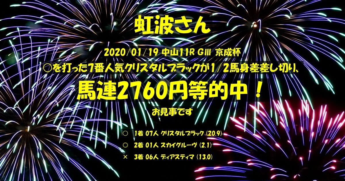 虹波さん2020/01/19&nbsp;中山11R的中 790%回収