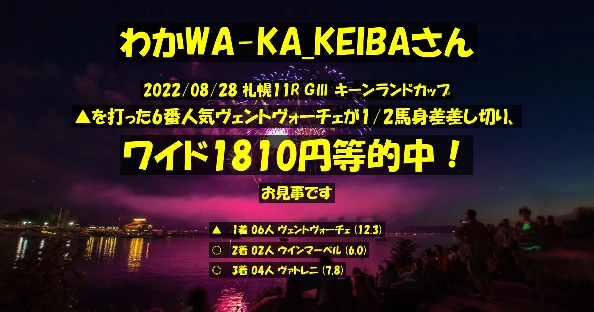 わかWA-KA_KEIBAさん2022/08/28&nbsp;札幌11R的中 506%回収